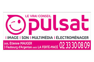 Logo Pulsat